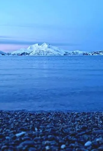 Romslig Kystperle Med Sjel I Skulsfjord *